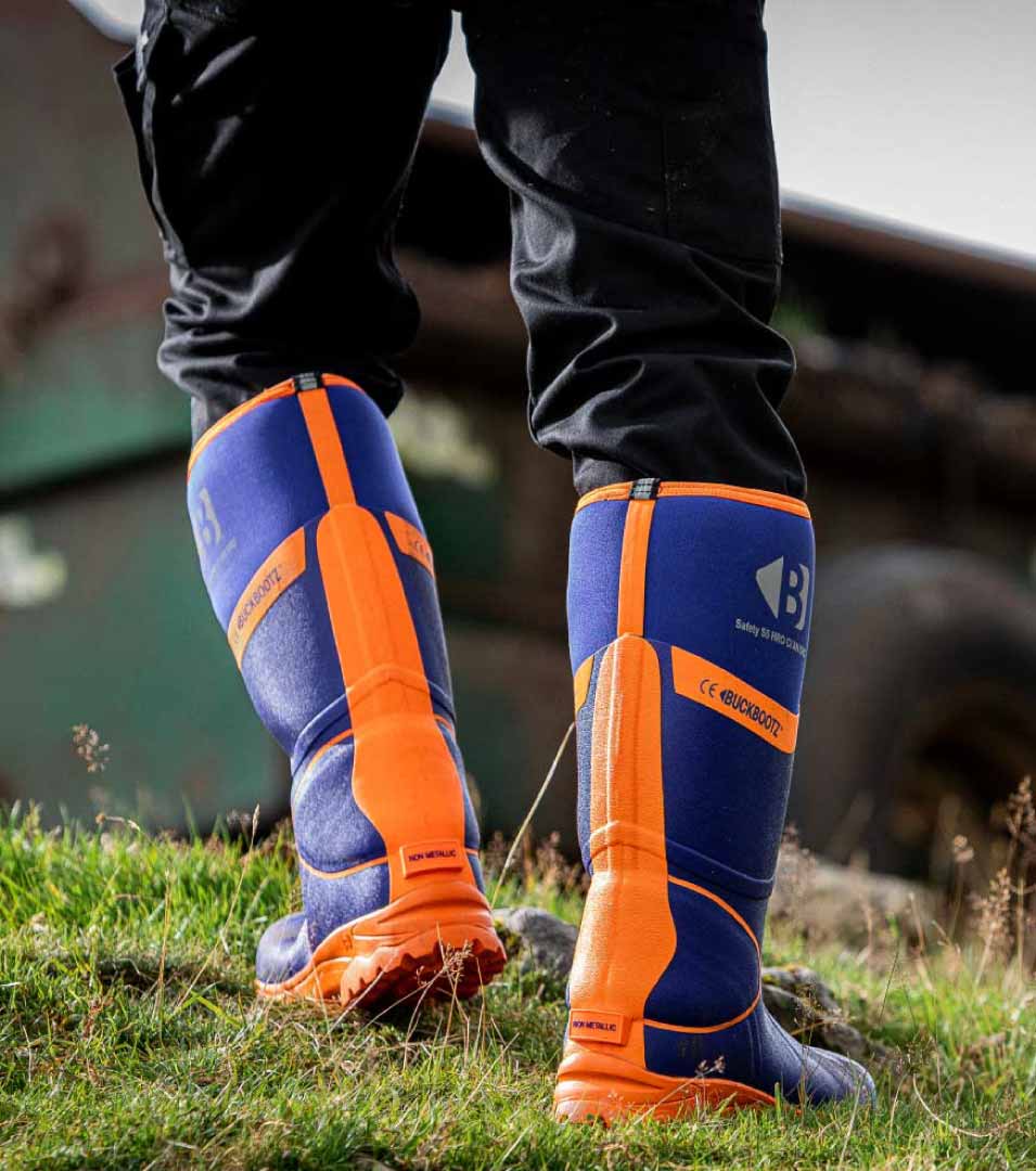 Banner Content Image: https://www.toolmonkey.co.uk/images/banner/source/bbz8000_pic1.263w9JqM5x.jpg?t=1701791469