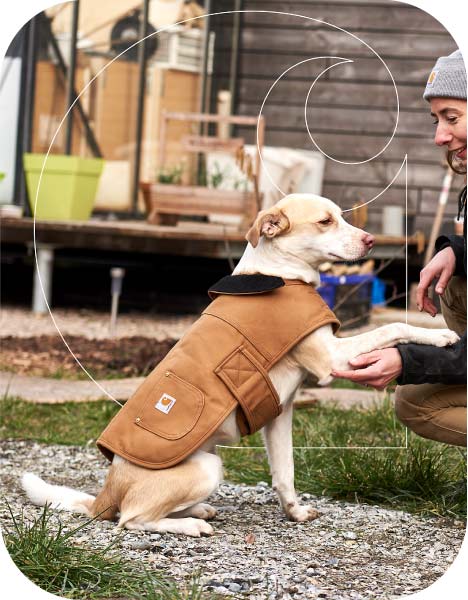 Banner Content Image: https://www.toolmonkey.co.uk/images/banner/source/dog.FtF95e2JKU.jpg?t=1735893106