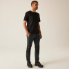 Regatta Professional Jeopardize Work Jogger Seal Grey Large