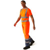 Regatta Professional TRS271 Hi Vis Contract Polo Shirt Class 2 - Orange Large